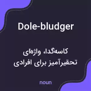 معنی dole-bludger به فارسی