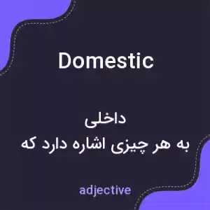معنی domestic به فارسی معنی domestic به فارسی