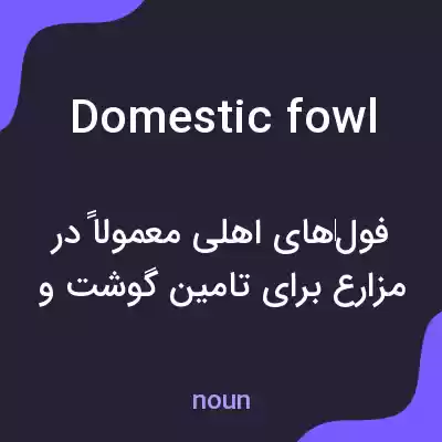 معنی domestic fowl به فارسی معنی domestic fowl به فارسی