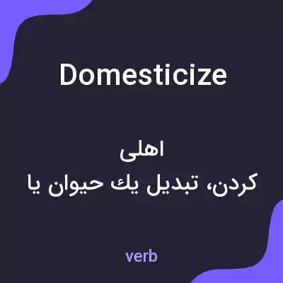 معنی domesticize به فارسی معنی domesticize به فارسی