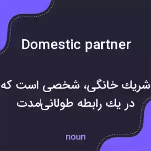 معنی domestic partner به فارسی معنی domestic partner به فارسی