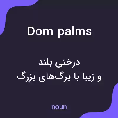معنی dom palms به فارسی معنی dom palms به فارسی