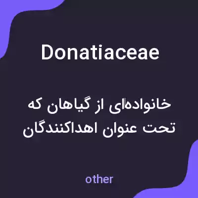 معنی donatiaceae به فارسی معنی donatiaceae به فارسی