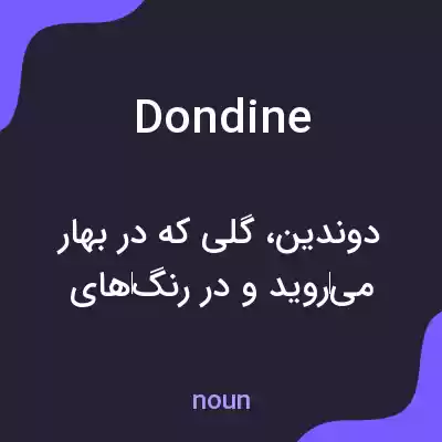 معنی dondine به فارسی معنی dondine به فارسی