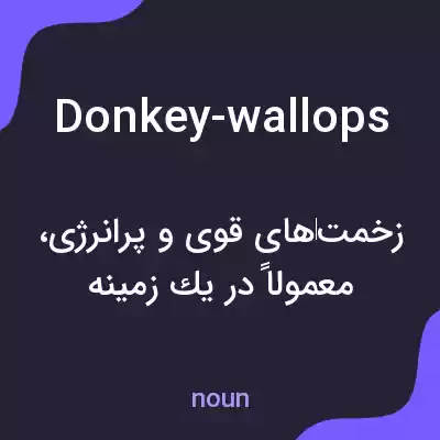 معنی donkey-wallops به فارسی معنی donkey-wallops به فارسی