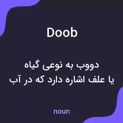 معنی doob به فارسی معنی doob به فارسی