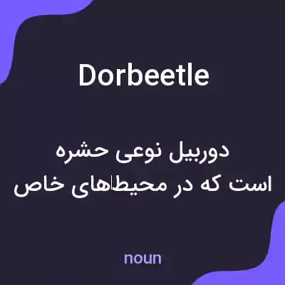معنی dor beetle به فارسی معنی dor beetle به فارسی