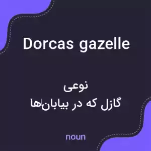 معنی dorcas gazelle به فارسی معنی dorcas gazelle به فارسی
