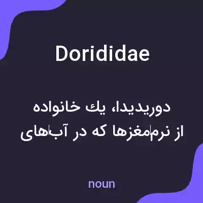 معنی dorididae به فارسی