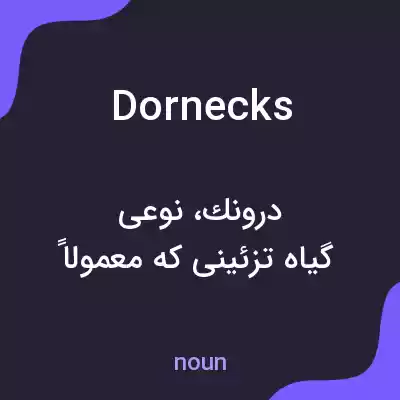 معنی dornecks به فارسی معنی dornecks به فارسی