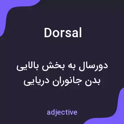 معنی dorsal به فارسی معنی dorsal به فارسی