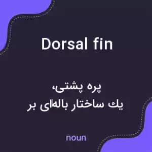معنی dorsal fin به فارسی معنی dorsal fin به فارسی