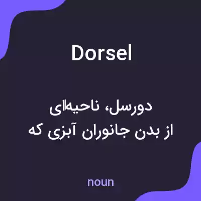 معنی dorsel به فارسی معنی dorsel به فارسی