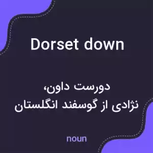 معنی dorset down به فارسی معنی dorset down به فارسی