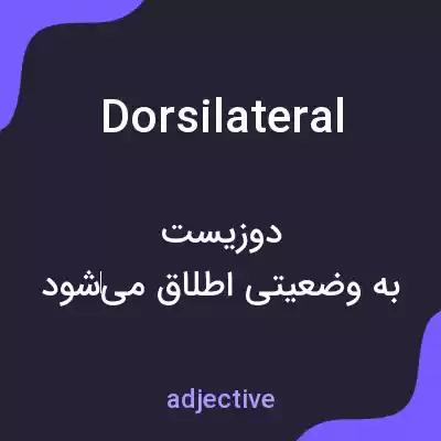 معنی dorsilateral به فارسی معنی dorsilateral به فارسی