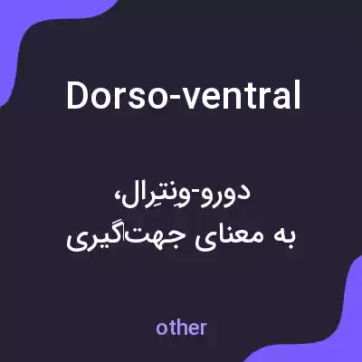 معنی dorso-ventral به فارسی معنی dorso-ventral به فارسی