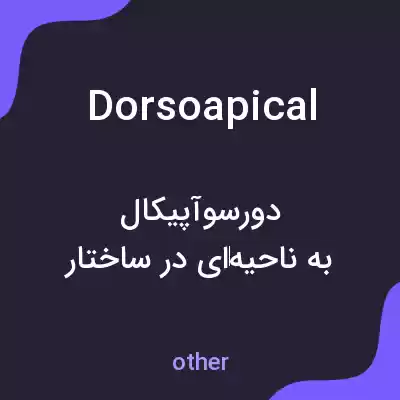 معنی dorsoapical به فارسی معنی dorsoapical به فارسی