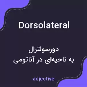 معنی dorsolateral به فارسی