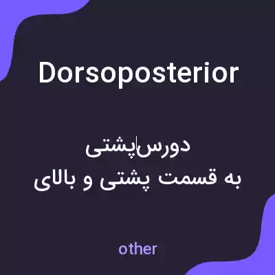 معنی dorsoposterior به فارسی معنی dorsoposterior به فارسی