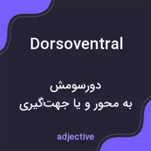 معنی dorsoventral به فارسی