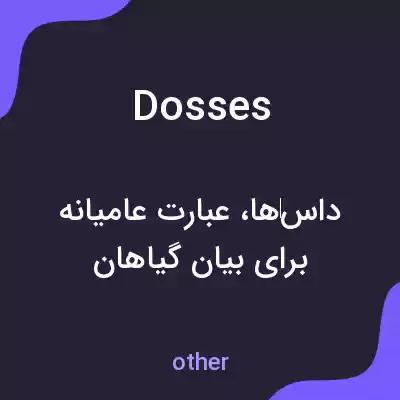 معنی dosses به فارسی معنی dosses به فارسی