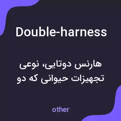 معنی double-harness به فارسی معنی double-harness به فارسی