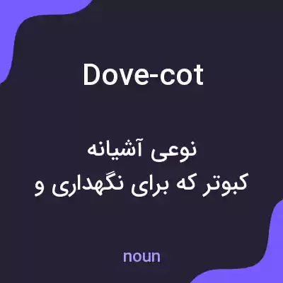 معنی dove-cot به فارسی