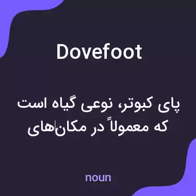 معنی dovefoot به فارسی معنی dovefoot به فارسی
