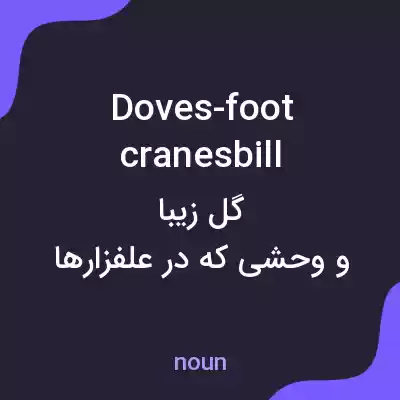 معنی doves-foot cranesbill به فارسی معنی doves-foot cranesbill به فارسی