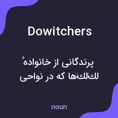 معنی dowitchers به فارسی معنی dowitchers به فارسی