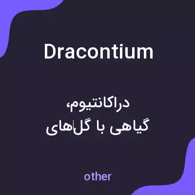 معنی dracontium به فارسی معنی dracontium به فارسی