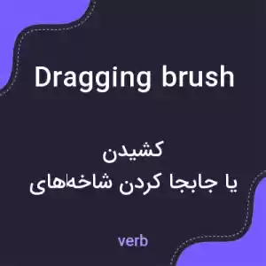 معنی dragging brush به فارسی معنی dragging brush به فارسی
