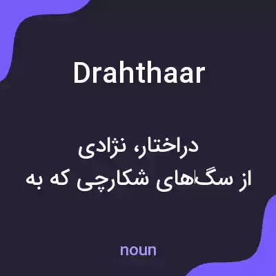 معنی drahthaar به فارسی معنی drahthaar به فارسی