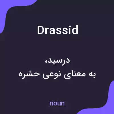 معنی drassid به فارسی معنی drassid به فارسی