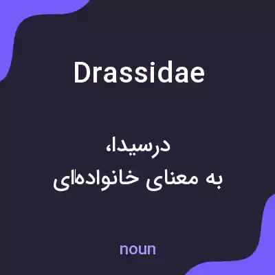 معنی drassidae به فارسی معنی drassidae به فارسی