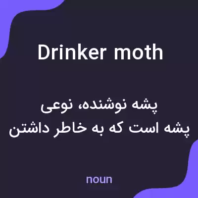 معنی drinker moth به فارسی معنی drinker moth به فارسی