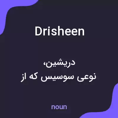 معنی drisheen به فارسی