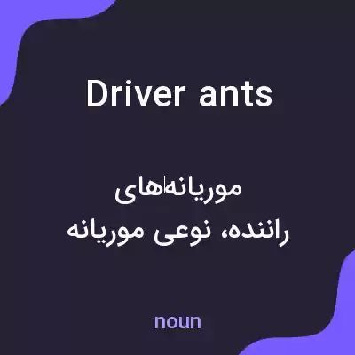 معنی driver ants به فارسی معنی driver ants به فارسی