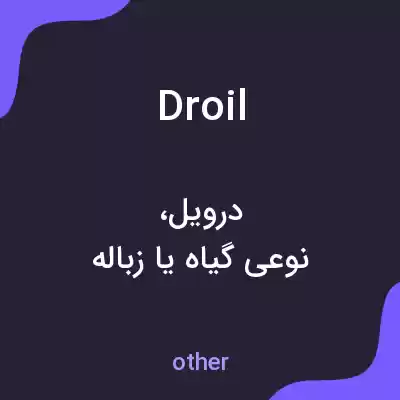 معنی droil به فارسی معنی droil به فارسی