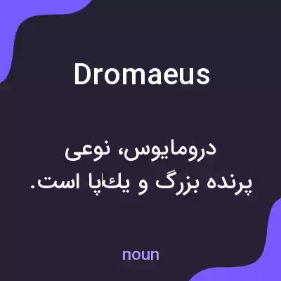 معنی dromaeus به فارسی معنی dromaeus به فارسی