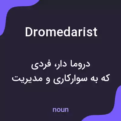 معنی dromedarist به فارسی معنی dromedarist به فارسی
