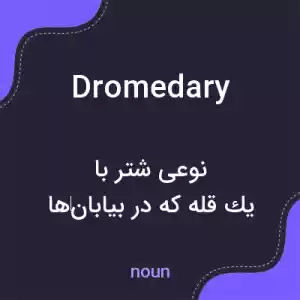 معنی dromedary به فارسی معنی dromedary به فارسی