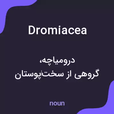 معنی dromiacea به فارسی معنی dromiacea به فارسی
