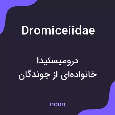 معنی dromiceiidae به فارسی معنی dromiceiidae به فارسی