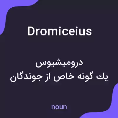 معنی dromiceius به فارسی معنی dromiceius به فارسی