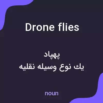 معنی drone flies به فارسی معنی drone flies به فارسی
