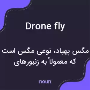 معنی drone fly به فارسی معنی drone fly به فارسی