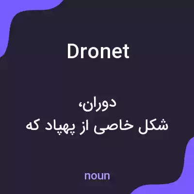 معنی dronet به فارسی معنی dronet به فارسی