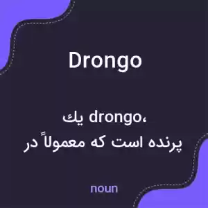 معنی drongo به فارسی معنی drongo به فارسی