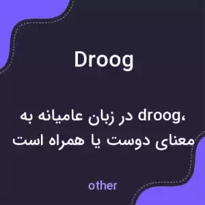 معنی droog به فارسی معنی droog به فارسی